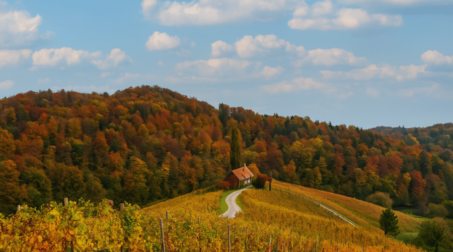 Jesenski kulinarični oddihi v Sloveniji