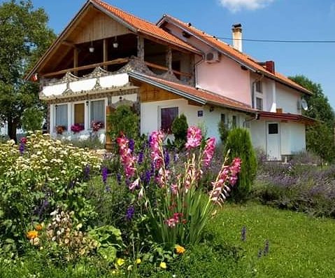 Apartment Lavanda