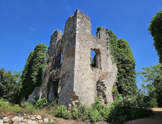 Castle “Salatić” – old ruins