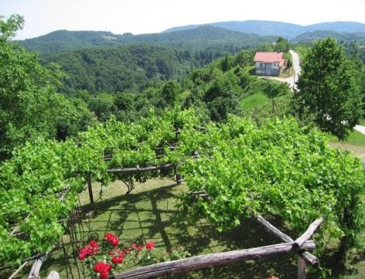 Holiday Home Carovina – Two-Bedroom Holiday Home with View