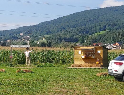 Koruzni labirint Maribor