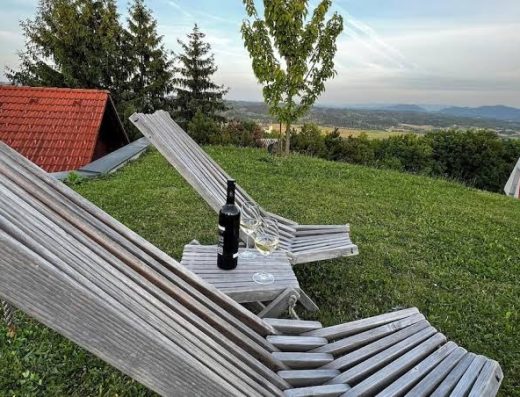 Peaceful spacious apartment w great views near the thermal pools in Podčetrtek