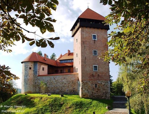 Stari grad Dubovac (Dvorac Dubovac)