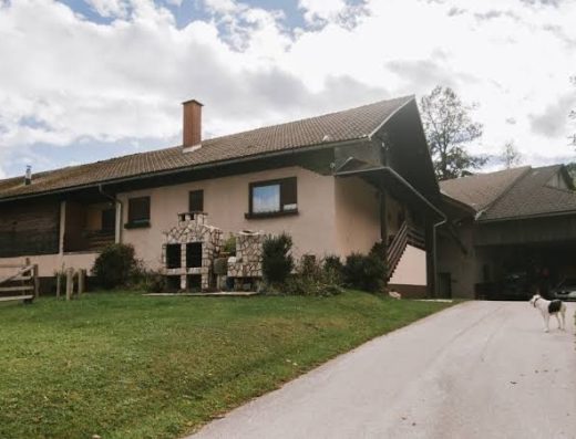 Apartment Skala v Rečici ob Savinji